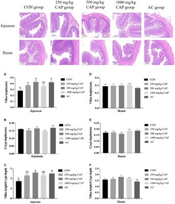 Effects of dietary cecropin on growth performance, diarrhea rate and intestinal health of nursery Hainan pigs